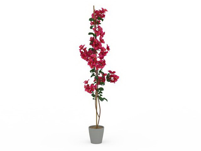 Tall potted flower 3d rendering