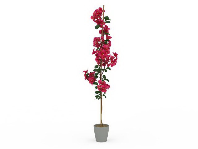 Tall potted flower 3d rendering