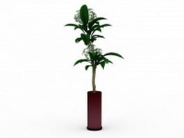 Potted flowering plant 3d model preview