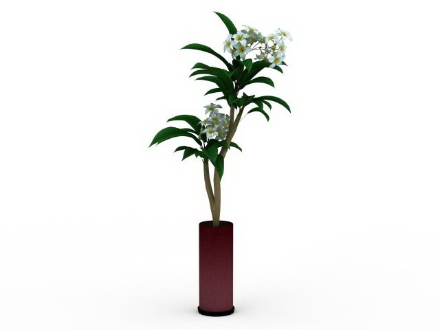 Potted flowering plant 3d rendering