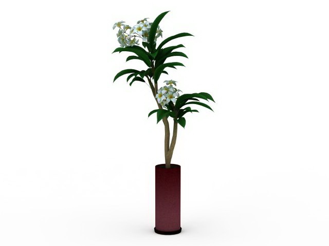 Potted flowering plant 3d rendering