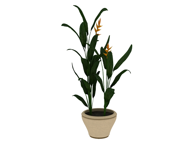 Indoor flowering plant 3d rendering