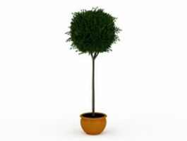 Potted topiary tree 3d preview