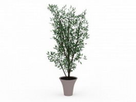 Large potted tree 3d model preview