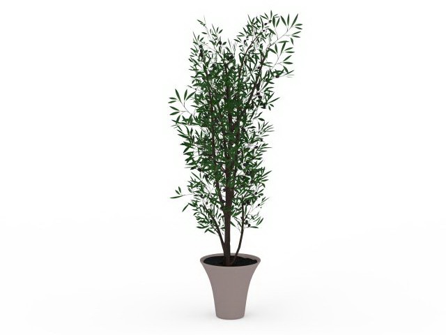 Large potted tree 3d rendering