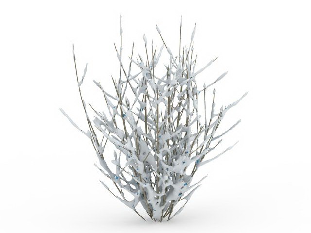 Winter shrub 3d rendering