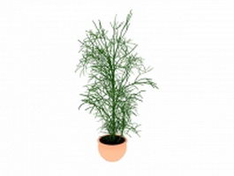 Potted fern plant 3d preview