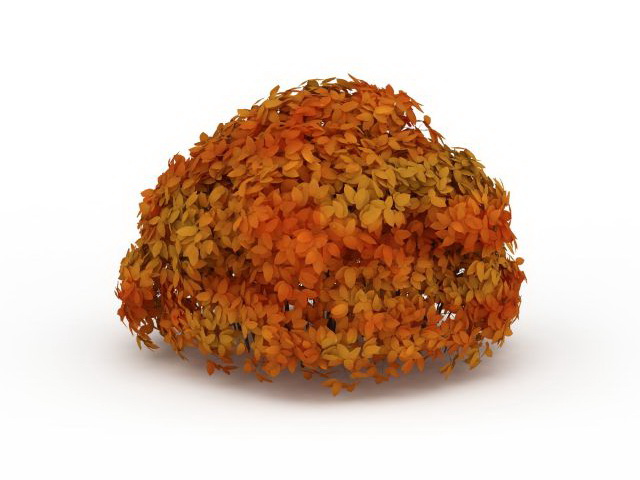 Shrub in fall color 3d rendering