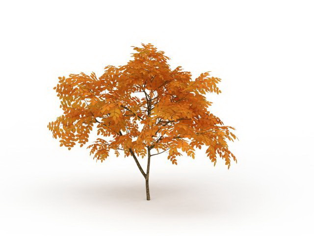 Autumn tree 3d rendering