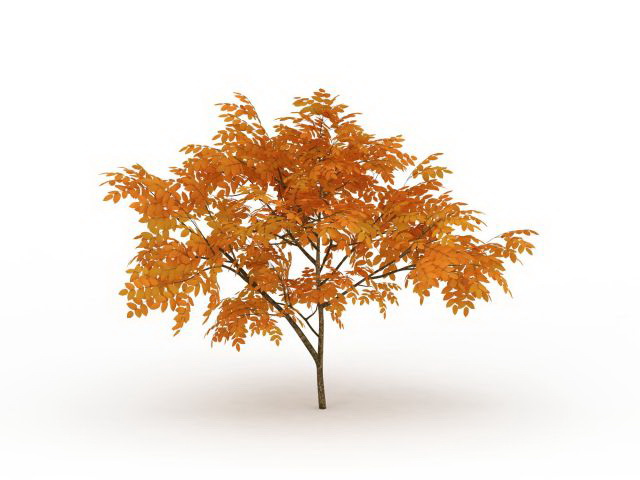 Autumn tree 3d rendering