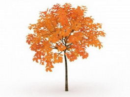 Maple fall tree 3d model preview