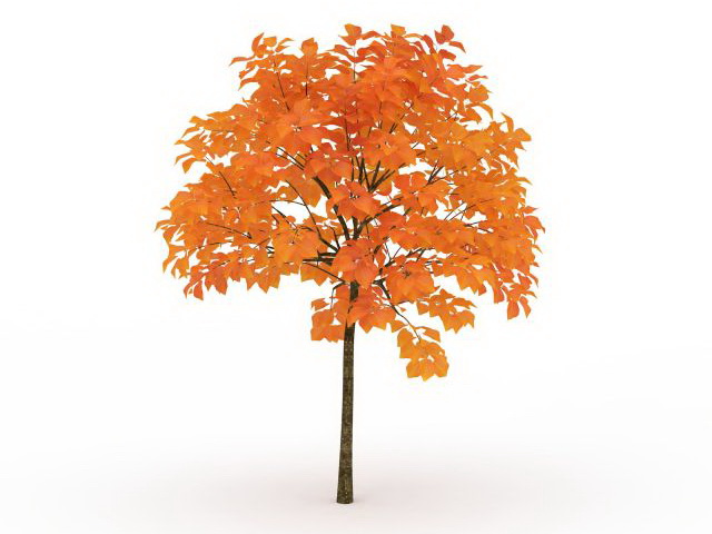 Maple fall tree 3d rendering