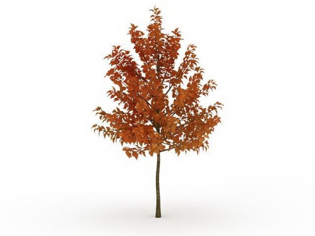 Tree in autumn 3d rendering