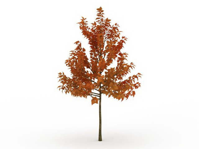 Tree in autumn 3d rendering