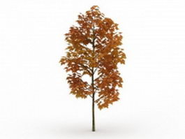 Golden autumn tree 3d model preview