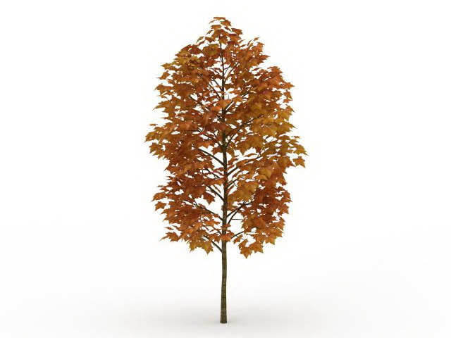 Golden autumn tree 3d rendering
