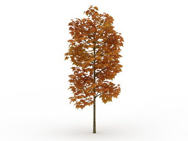 Golden autumn tree 3d rendering
