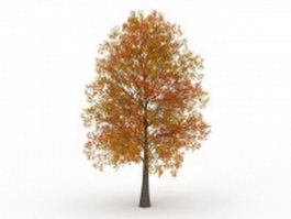 Autumn poplar tree 3d model preview