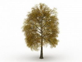 Mid autumn tree 3d model preview
