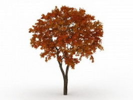Late autumn tree 3d model preview