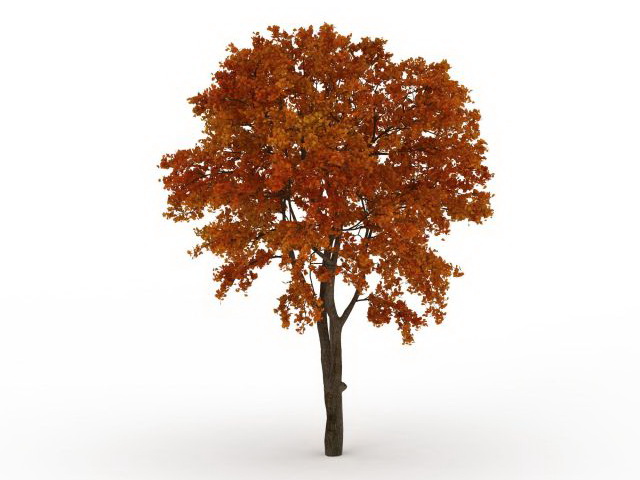Late autumn tree 3d rendering