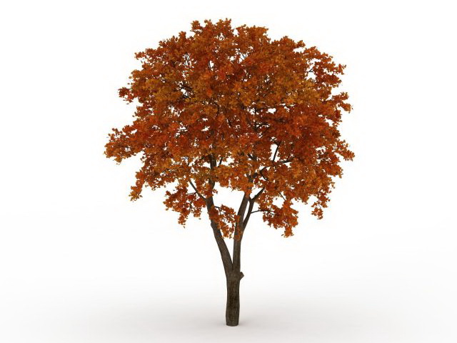 Late autumn tree 3d rendering