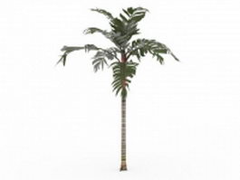 Tropical palm tree 3d model preview