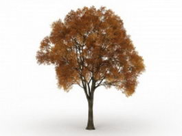 Old tree with fall colors 3d model preview
