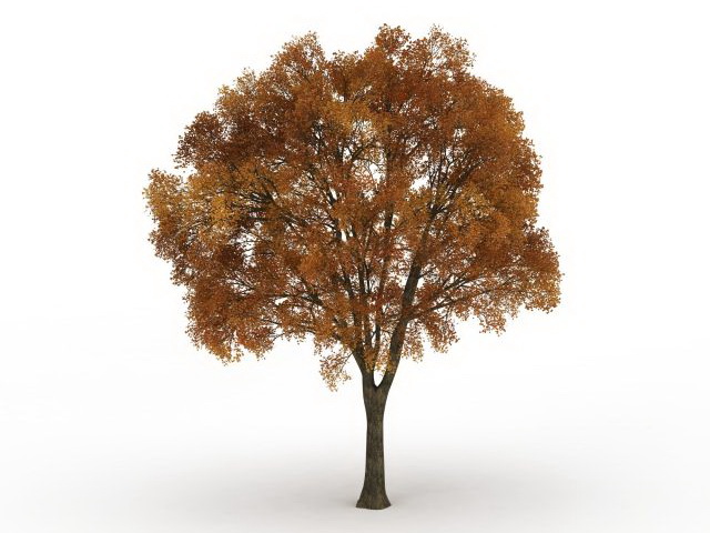 Old tree with fall colors 3d rendering