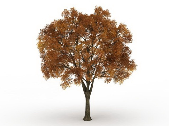 Old tree with fall colors 3d rendering