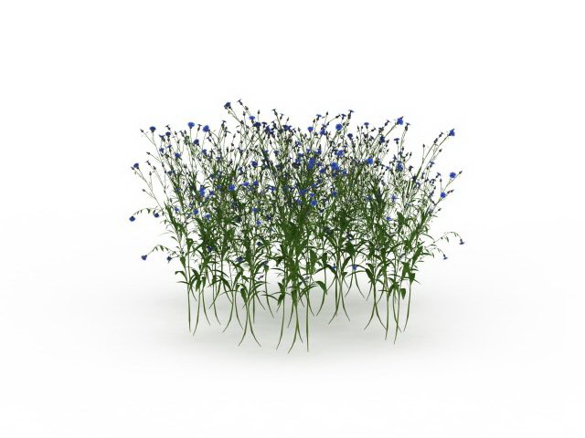 Flowering shrubs 3d model 3ds max files free download - CadNav