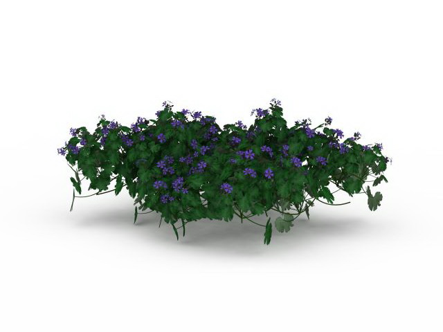 Purple flowering shrubs 3d rendering