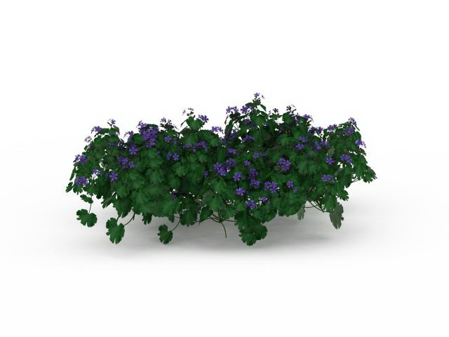 Purple flowering shrubs 3d rendering