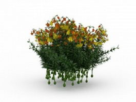 Yellow flowering shrubs 3d model preview