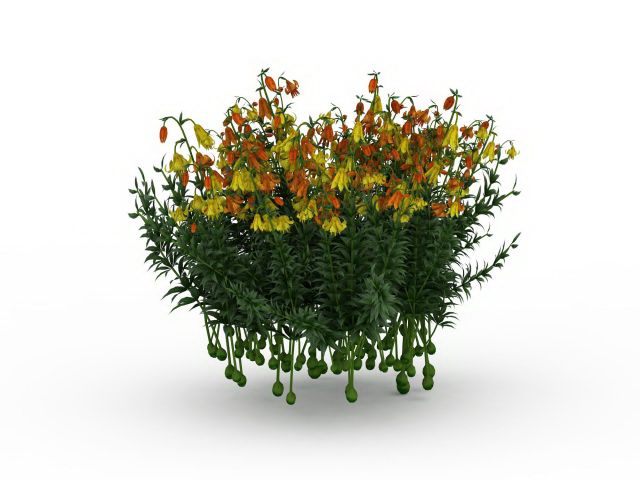 Yellow flowering shrubs 3d rendering
