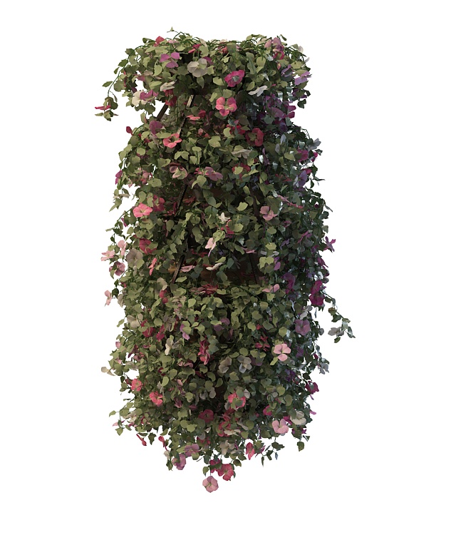 Vine flower pergola 3d rendering