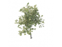 Small evergreen tree 3d model preview