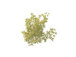 Yellow berry plant 3d preview
