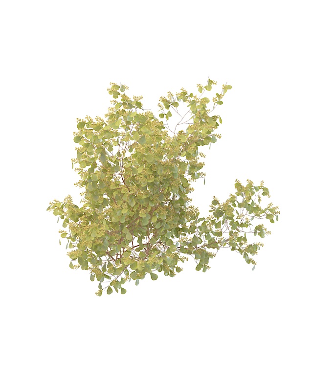 Yellow berry plant 3d rendering