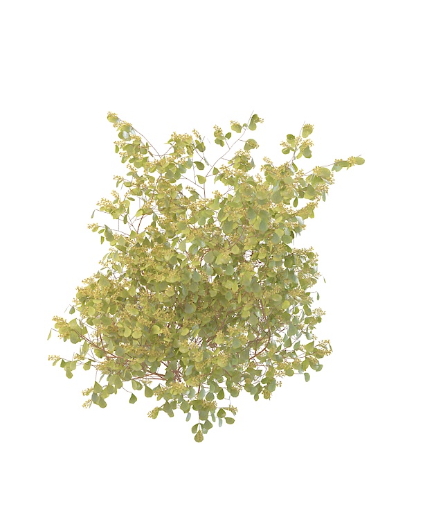 Yellow berry plant 3d rendering
