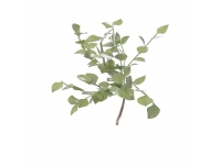 Branch with leaves 3d model preview