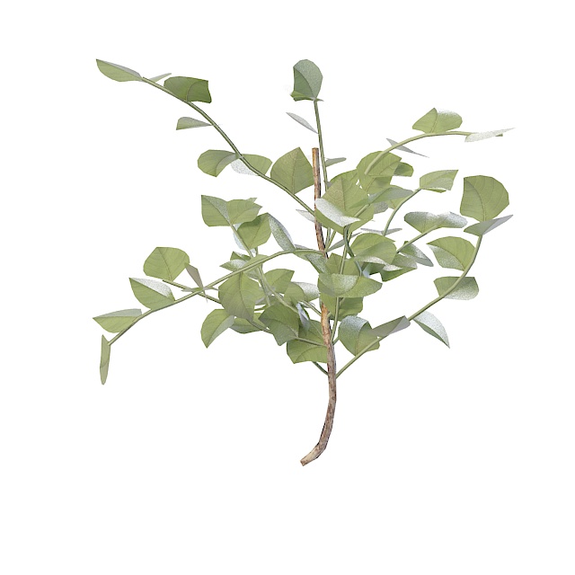 Branch with leaves 3d rendering