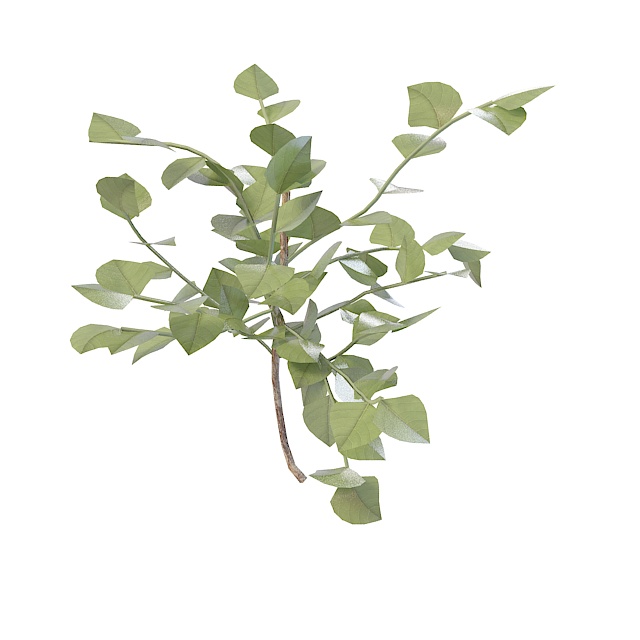 Branch with leaves 3d rendering