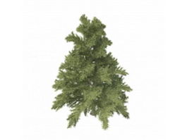 Dwarf coniferous tree 3d model preview