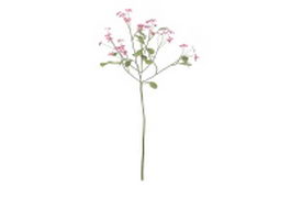 Red flowering herb plant 3d model preview