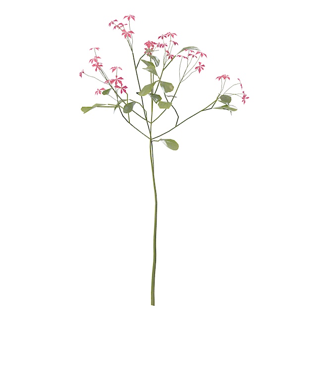 Red flowering herb plant 3d rendering