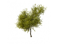Willow tree branches 3d model preview