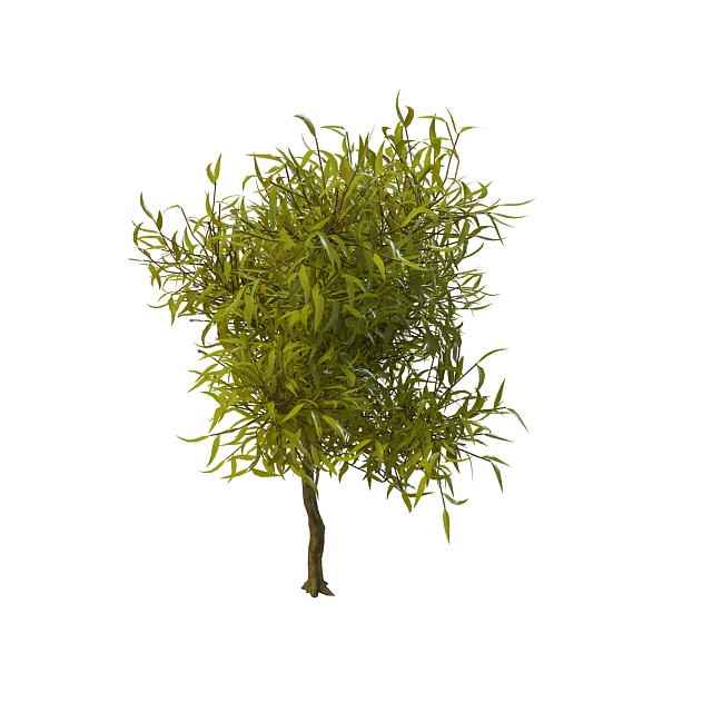 Willow tree branches 3d rendering