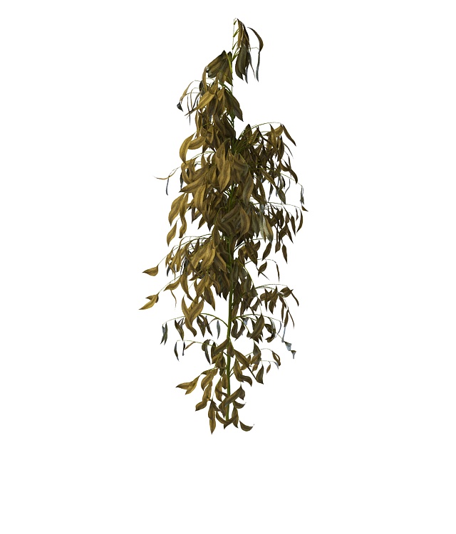 Withered tree branches 3d rendering