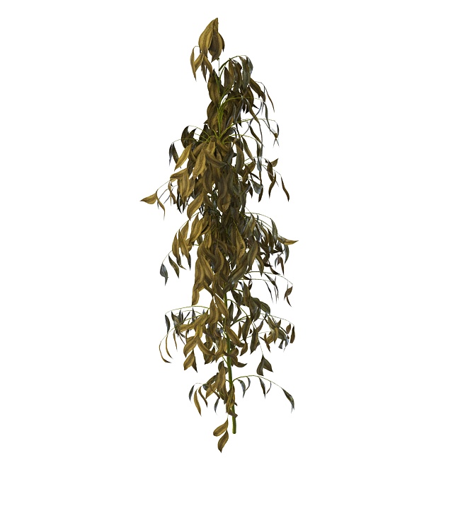 Withered tree branches 3d rendering